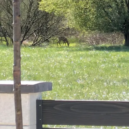 Nyaraló Haz A Hold Utcaban Kehidakustány