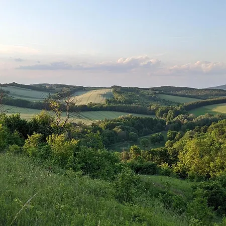 Haz A Hold Utcaban Tatil Evi Kehidakustány